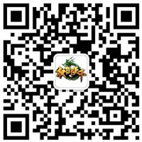 权御天下福利专享