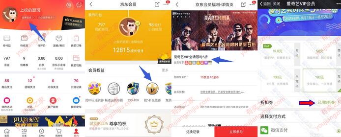 京东和360两个渠道领取爱奇艺vip会员半价购买活动资格