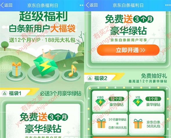京东白条新用户开通白条100%领3个月豪华绿钻奖励