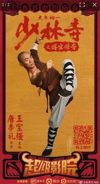 《少林寺之得宝传奇》爱奇艺99元开通vip会员免费看